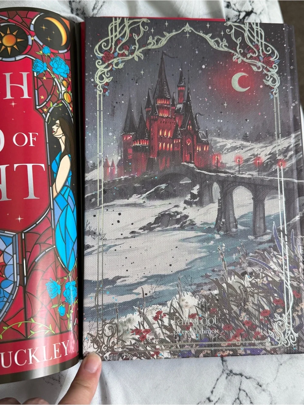 Fairyloot | NWT The Witch in the Dead of Night Book
